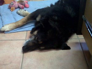 Miami-20111220-00069