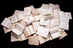 Photo Credit: Johannes Jansson